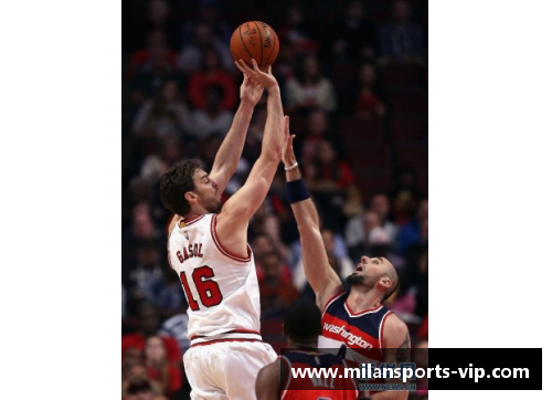 公牛队10号球员是谁? 公牛队10号球员是谁?